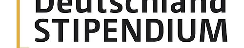 Logo Deutschland Stipendium